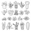 Houseplants, cactuses and succulents set. Vector hand drawn outline black and white sketch illustration